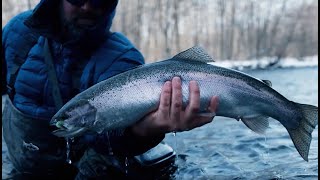 Steelhead Fishing the Legendary Waters of Salmon River (Video 1 of 2) - Oswego County, NY.