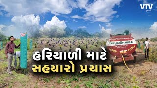 બોટાદના યુવાનોનું હરિયાળું કામ: 50 કે 100 નહીં 41 હજાર જેટલા વૃક્ષોનું ફ્રીમાં વિતરણ | VTV Gujarati