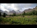 在露營地周圍看日出時刻mount. assiniboine的光影變化 wildflower meadow at sunrise