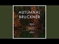 Bruckner: Symphony No. 3 in D Minor, WAB 103 (1888/89 Version, Ed. Nowak) - III. Ziemlich...