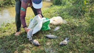 TERCEIRO DIA DE MUITA CHUVA E AÇUDES SANGRANDO COM MUITO PEIXE!