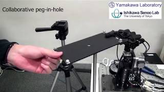 Dynamic Human-Robot Interaction -Realizations of collaborative motion and peg-in-hole-