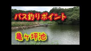 バス釣りポイント　亀ヶ坪池　愛知県美浜町にあるブラックバス釣り野池　知多野池群