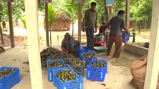 Agriservices | Hub Program