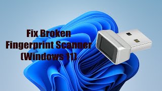 How To Fix Fingerprint Scanner (Windows 11)