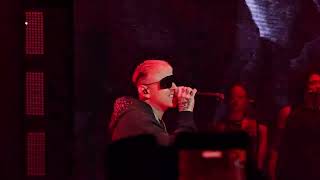 emma - amore cane (feat. lazza) (live @ unipol forum Milano 11-11-24) #indatowntour