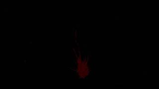 Action Essentials Blood Hit-1 [HD]