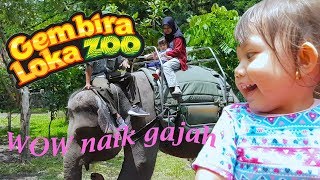 Wow naik gajah!!! AMEH ke Gembira Loka Zoo