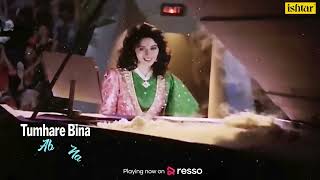 bahot pyaar karte hai tumko sanam | Madhuri Dixit | Anudhara Paudwal | 90's Best Hindi song