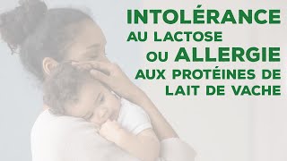 Intolérance au lactose ou allergie aux protéines de lait de vache ? Différenciez-les avec Blédina