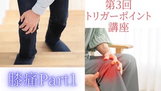 第三回トリガーポイント講座【膝痛】part1