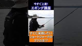 【今すぐ上達！】すぐに実践したい！エギングのショートジャークのコツ