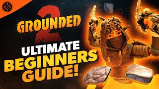Grounded 2 - Ultimate Beginner's Guide (How To Have The Perfect Start!)