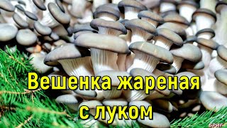 Вешенка жареная с луком. Рецепт приготовления.