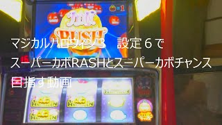 マジカルハロウィン3 3話　設定6でスーパーカボRASHとスーパーカボチャンスを目指す動画