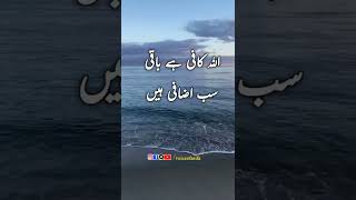 Amazing collection of quotes | heart touching lines | urdu best quotes | islamic quotes