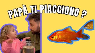 I NOSTRI PRIMI PESCIOLINI ROSSI 😍🐟🐠