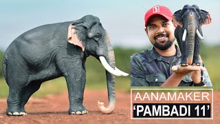 AANAMAKER - 'PAMBADI RAJAN 11'