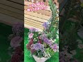 【寄せ植え】春の彩りの寄せ植えたちご紹介 ガーデニング デザイン 寄せ植えデザイナー®︎