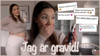 JAG ÄR GRAVID! GRAVID Q/A 👶🏼🧸 VLOGG 119 - AMANDA MARIN