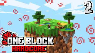 Minecraft Skyblock, but you only get ONE BLOCK.. (hardcore) #2