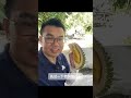 彭亨州榴莲季节开始咯！第一手看看文冬巴刹的榴莲盛况！2024 pahang durian season begins 猫山王 2024彭亨州榴莲季节 马来西亚榴莲达人学伟 文冬吃榴莲