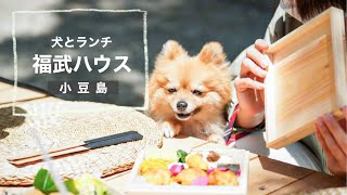 【小豆島】犬と瀬戸芸アートとお弁当