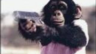 Weird Gifs!