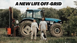Turning abandoned land into an off-grid homestead. We sold everything for this?!