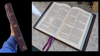 Purple ESV Omega Netherlands Print - Evangelical Bible Exclusive