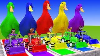 5 Giant Duck Cartoon,Cow,Sheep,Elephant,Duck,Monkey Paint Wild Animals Crossing Fountain Animation