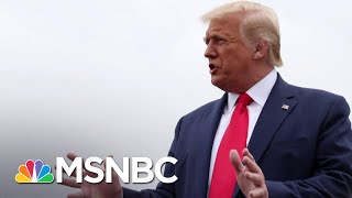 Trump Doubles Down On Wild Flight Of 'Thugs' Conspiracy Theory | The 11th Hour | MSNBC
