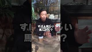 質問来てました！メジロパーマーてどんな馬でしたか？　#shorts #競馬 #メジロパーマー