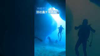 🤿中の島チャネル洞窟探検　 #初心者ダイバー #ダイビング #diving #洞窟 #海中動画 #海中映像 #underthesea #水中動画 #水中撮影 #shorts