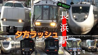 4K / JR西日本 長浜 北陸本線 / しらさぎ 新快速電車 夕方の発着ラッシュ / 681系 東芝GTO 223系 IGBT VVVF / 2024年初夏