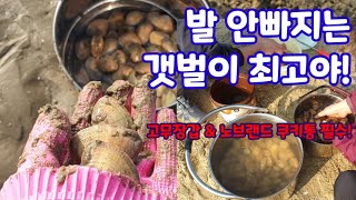 발 안빠져서 옷 버릴 일 없는 태안 삼봉해수욕장 좋아용👍 갯벌 조개 잡는법 | 동죽 많은 곳 : D