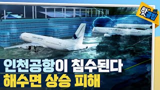 [핫클립] 해수면이 높아지면 생기는 일 / YTN 사이언스