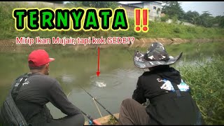 TERNYATA di Kali Waduk Mualim banyak Babonnya 😱😱, spot mancing Cibubur Jakarta Timur