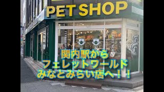 フェレットワールドみなとみらい店への行き方～関内駅Ver．～