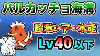 パルカッチョ海溝　超激レアなし\u0026本能なし　レベル40以下で簡単攻略【にゃんこ大戦争】