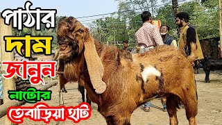 দেশি ক্রস জাতের পাঠার দাম জানুন নাটোর তেবাড়িয়া হাট থেকে।