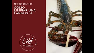 Cómo cocinar LANGOSTA VIVA 1.8 lb 2021 / BOGAVANTE/ LOBSTER - TÉCNICA  /Chef Karloz Rodriguez