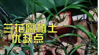 北方种兰花到底可不可用腐植土详细分析优缺点 给兰友做个参考