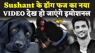 Sushant Singh Rajput के Dog Fudge का नया VIDEO देख हो जाएंगे इमोशनल, भांजी मल्लिका ने किया है अडॉप्ट