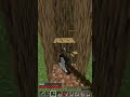 Minecraft Viral Hacks ,That Will Blast your Mind  | Short 8