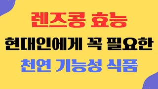 #렌즈콩 효능 현대인에게 꼭 필요한 천연 기능성 식품