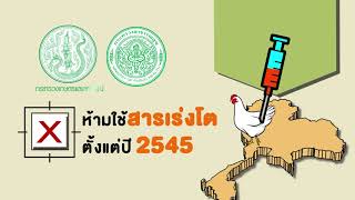 CPF ครัวโลกที่ยั่งยืน  ตอน ไก่ไทยปลอดภัย ไร้สารฮอร์โมน