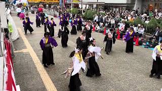 2023.10.08東京よさこい［日本体育大学　舞桜］駅前メイン(コンテスト)