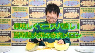 美味しくてコスパ良し！鳥取県大栄の赤肉メロン