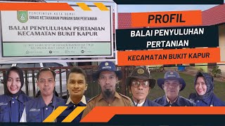 Profil Balai Penyuluhan Pertanian Kecamatan Bukit Kapur